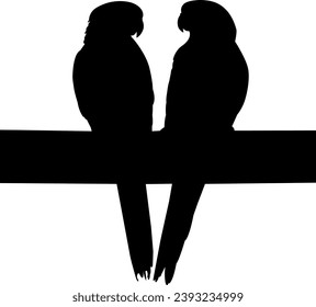two beautiful silhouette birds vector