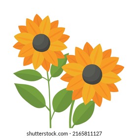 Two beautiful sunflower flowers for the design. Vector illustration in summer style