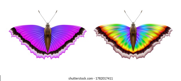 Two beautiful violet and multi-colored butterflies on a white background. 3D vector illustration