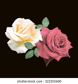 Two beautiful white and red roses isolated on black background. Photo- realistic mesh vector illustration.