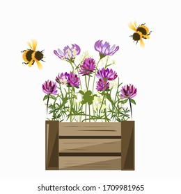 Two bees and a box of clover and cosmos flowers