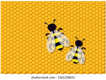 two bees yellow bee honeycomb background texture