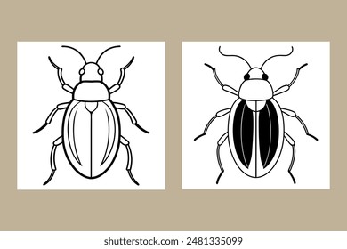 Two Beetle with a shiny textured carapace