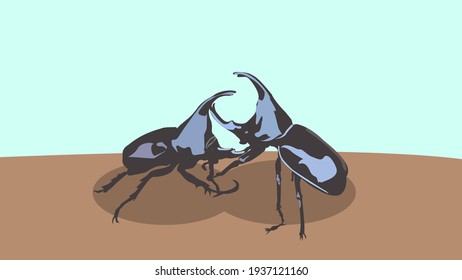 
Two beetles fight on a tree