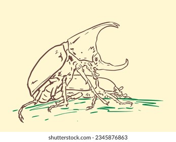 Two beetles vector for illustration, card, background