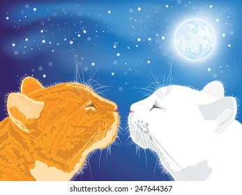 Two beloved cats on the night sky background. Vector illustration.