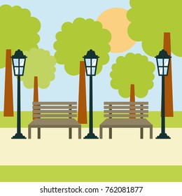 two benches street lamp and tree sun landscape