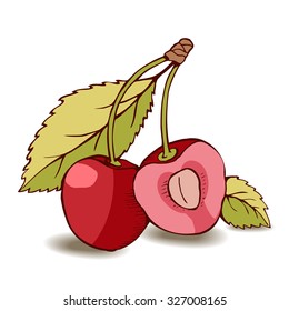 Two berries cut from background with tones and highlights. One cherry cut in half. Visible veins on the leaves. Branches connected with handle. Standing on the floor and cast shadows. Front view