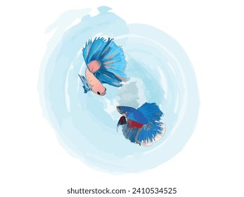 two beta fishes vector illustration. Aquarium betta fish with huge fins. Sealife and zoology. Fauna of underwater, tropical and exotic water dweller. fighting fishes