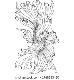 Two Betta fish or Siamese fighter fish top view in simple hand drawn line art style. Decorative goldfish veiltail. Illustration isolated on white background. Tattoo art design, coloring book page