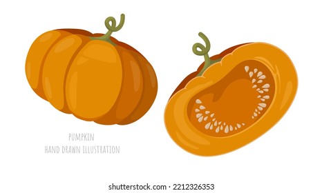 Two big cute vector pumpkins on white background. Whole and half cut vegetable. Seeds. Decorative art elements set for Thanksgiving, Halloween festive banner layout design. Harvest festival. Food fair