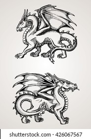 Two big dragon black contour line on white background.