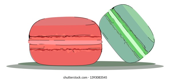 Two big macaroons in blue and pink color vector color drawing or illustration