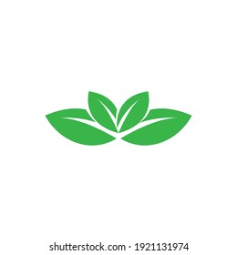 Two big two small green leaves. Vector drawing