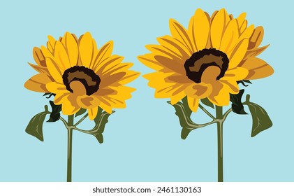 Two big sunflowers on a blue background