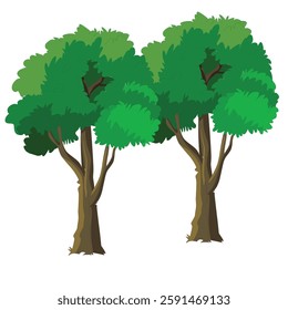 Two big trees on white background illustration