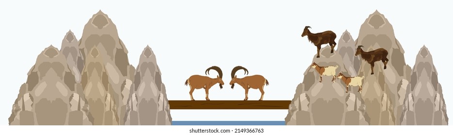 Two Bighorn Male Goats On Chump Fighting Vector Illustration Isolated On White Background. Angry And Stubborn Animal Battle. Alpha Goat Macho Conflict On Bridge. Natural Battle For Mating And Family.