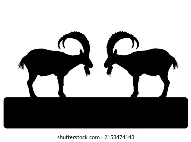 Two Bighorn Male Goats On Chump Fighting Vector Silhouette Illustration Isolated On White. Angry Stubborn Animal Competition. Alpha Goat Macho Conflict Over Wooden Bridge. Natural Battle For Mating.