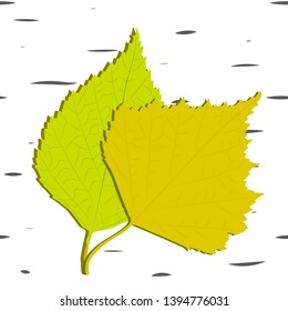 two birch leaves on a textured background of tree bark