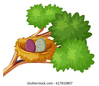 Two bird eggs in nest illustration