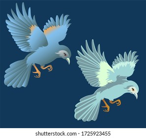 two bird in flight on a blue background