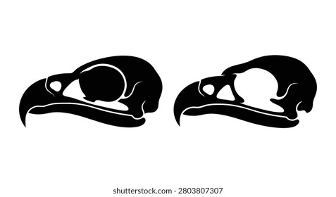 Two bird skull silhouettes against a white background a stark graphic representation silhouette avian bone structure anatomy osteology