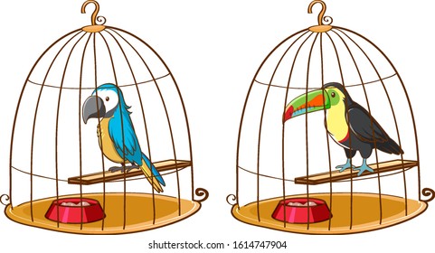 Two birds in bird cages illustration