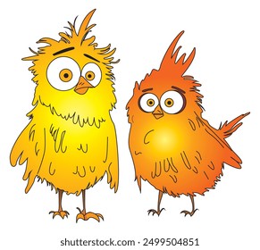 Two Birds Cartoon Vector Illustrator