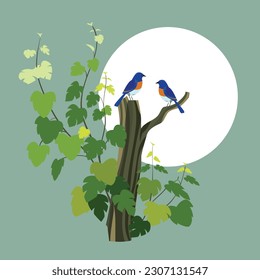 Two birds chirping sitting on the branch of an exotic tree