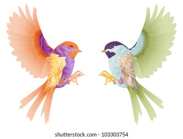 two 	birds flying isolated in white