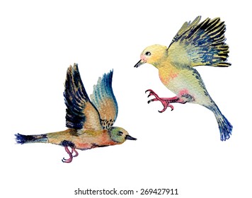 Two birds. Hand Drawn Vector Watercolor Illustration. Isolated on white background.