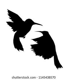Two birds hummingbirds flying - vector ink illustration. Isolated black silhouette on white background.