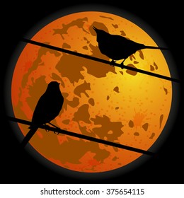 Two birds on the background of the moon. Vector.