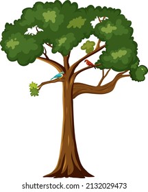 Dos pájaros en la ilustración de un árbol grande