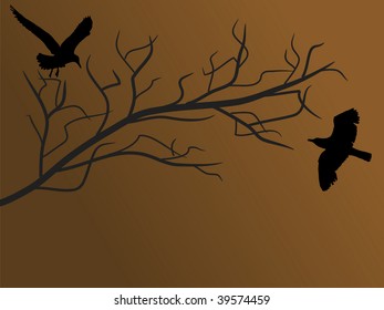 Two birds on the branch