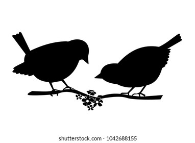 two birds on a branch. black silhouette