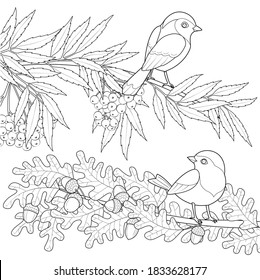 Two birds on the branches black and white vector illustration