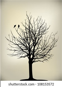 two birds on a dead tree