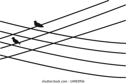 Two birds on power supply line