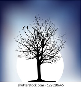 two birds on a tree in night
