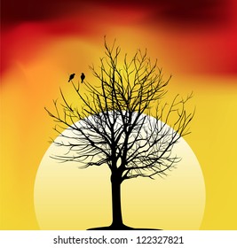 two birds on a tree in sunset