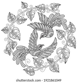 Two birds and Philodendron ginny.
Zentangle stylized cartoon isolated on white background. 
Hand drawn sketch illustration for adult coloring book. 
