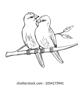 Two birds sitting on a branch. Vector sketch illustration.