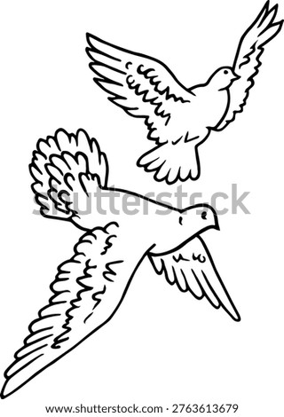 Two birds soaring in the sky