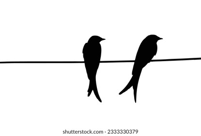 Two birds stand on a power line