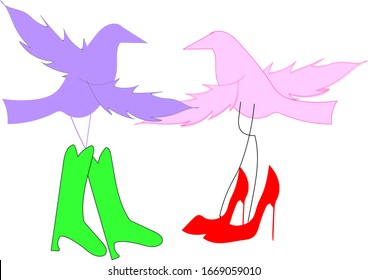 Dos pájaros vectoriales con zapatos y botas