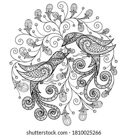 Two Birds.
Zentangle Stylized Cartoon Isolated On White Background. 
Hand Drawn Sketch Illustration For Adult Coloring Book. 
