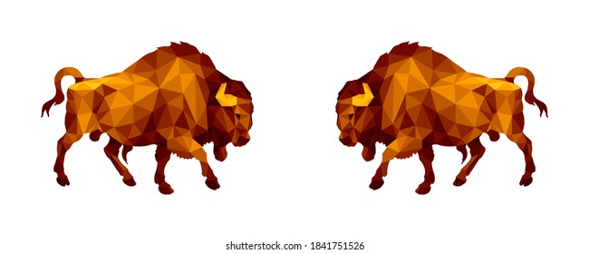two bison, two bulls, isolated amber image on a white background in a low-poly style