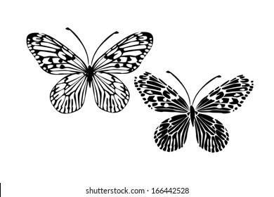 two black butterfly. Vector 