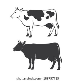 Two black cow silhouettes in vector